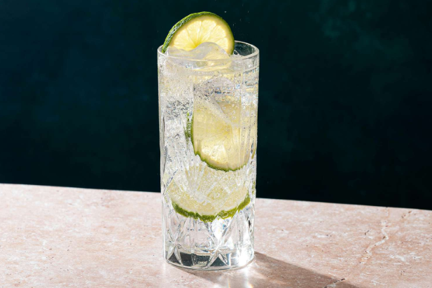 Gin and Tonic Cocktails